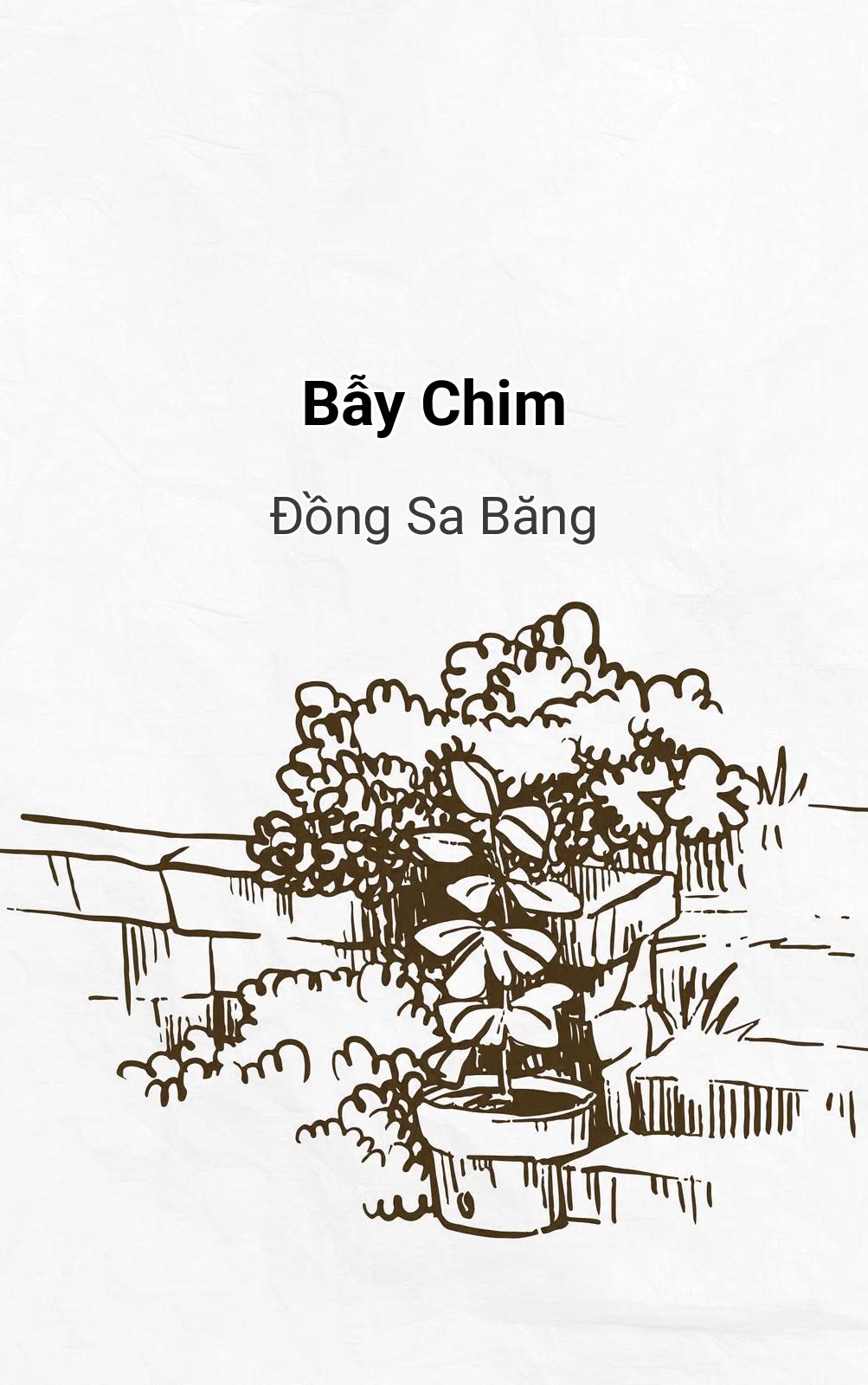 Bẫy Chim