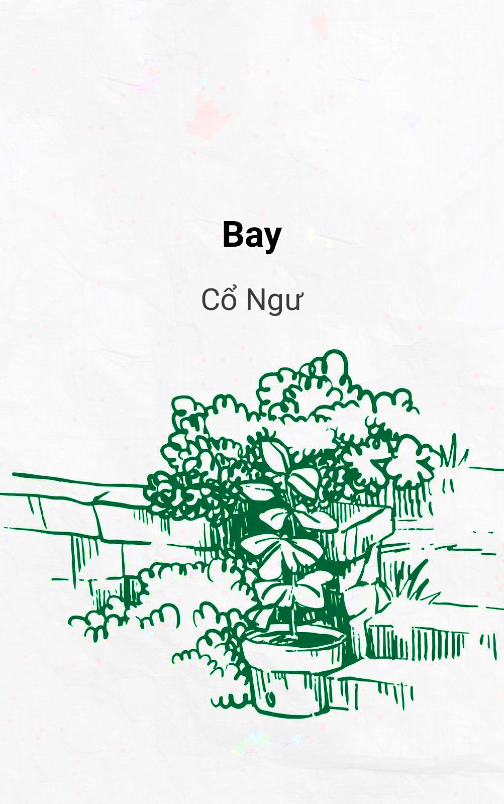 Bay
