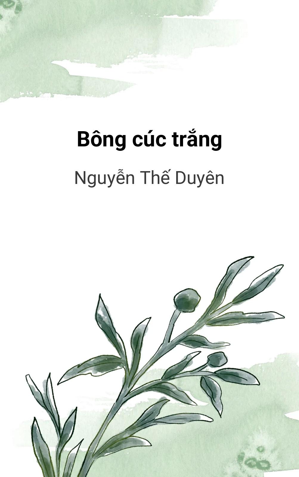 Bông Cúc Trắng