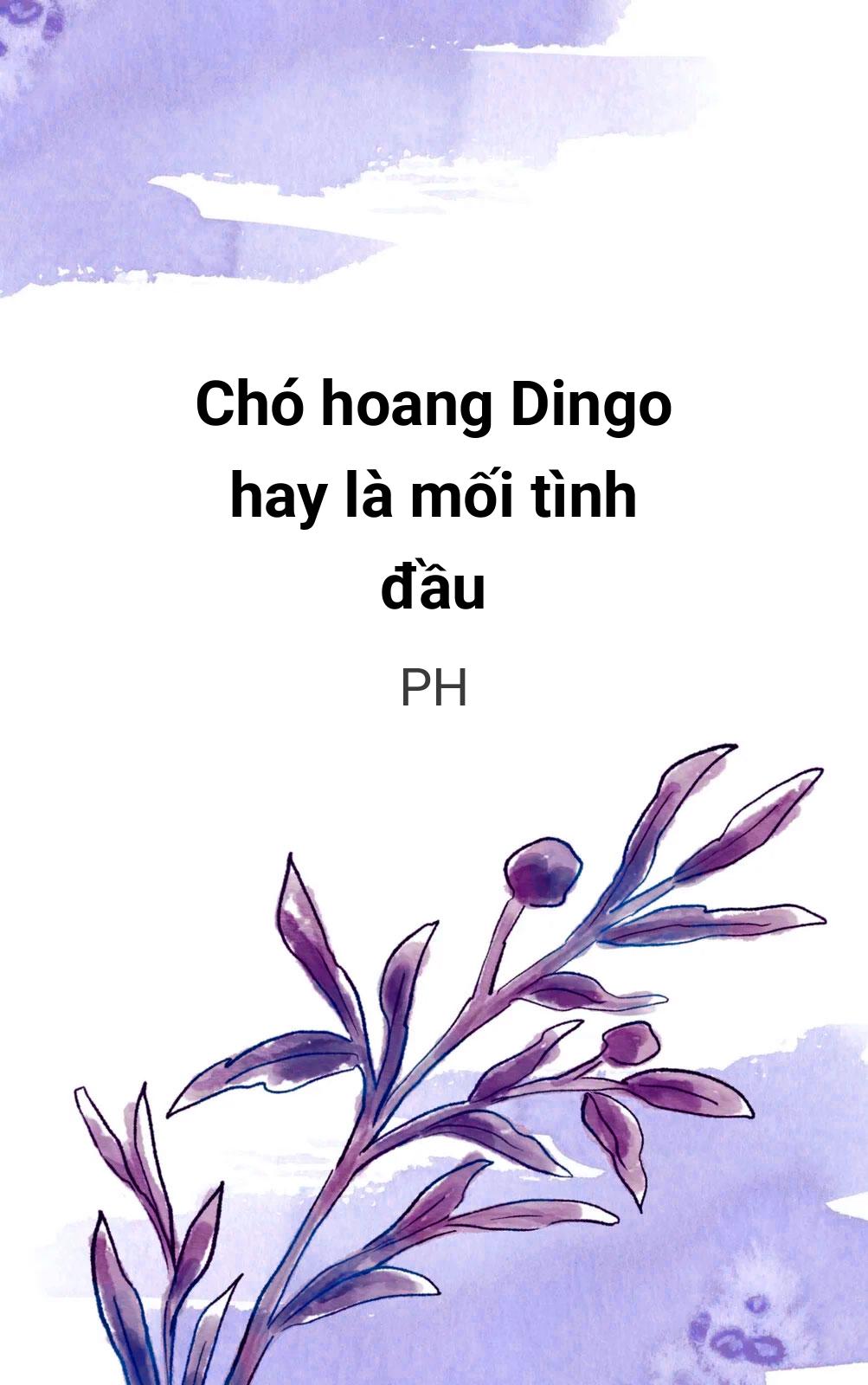 Chó Hoang Dingo Hay Là Mối Tình Đầu