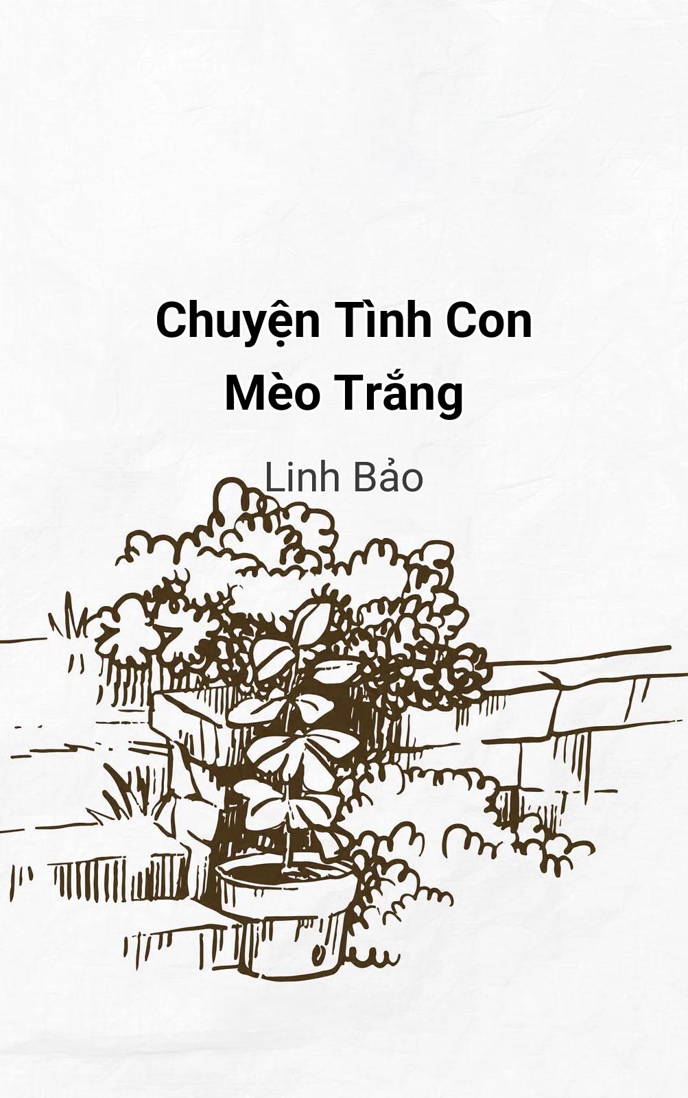 Chuyện Tình Con Mèo Trắng