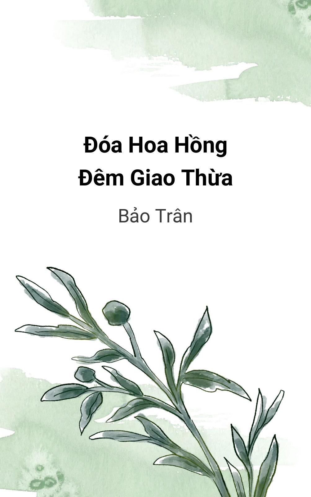 Ðóa Hoa Hồng Ðêm Giao Thừa