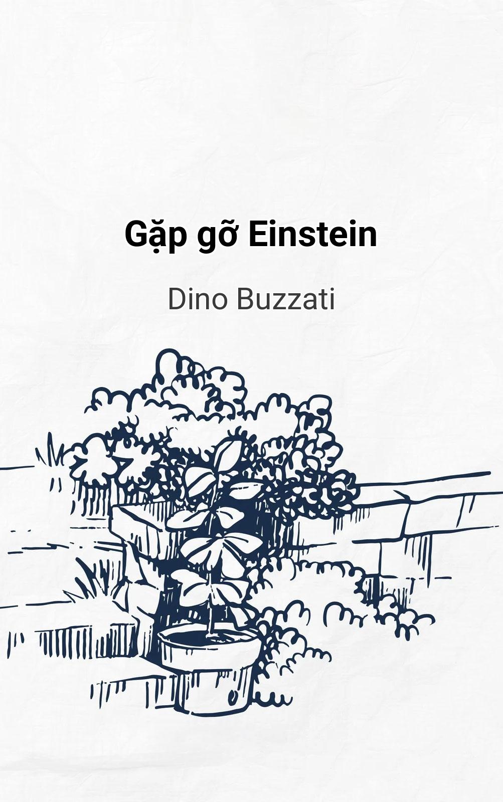 Gặp Gỡ Einstein