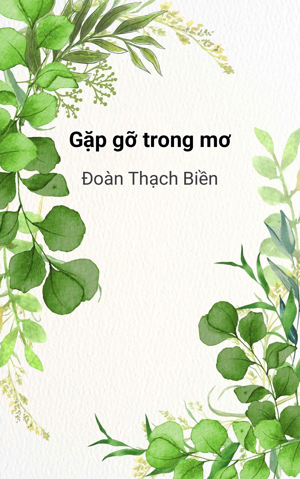 Gặp Gỡ Trong Mơ