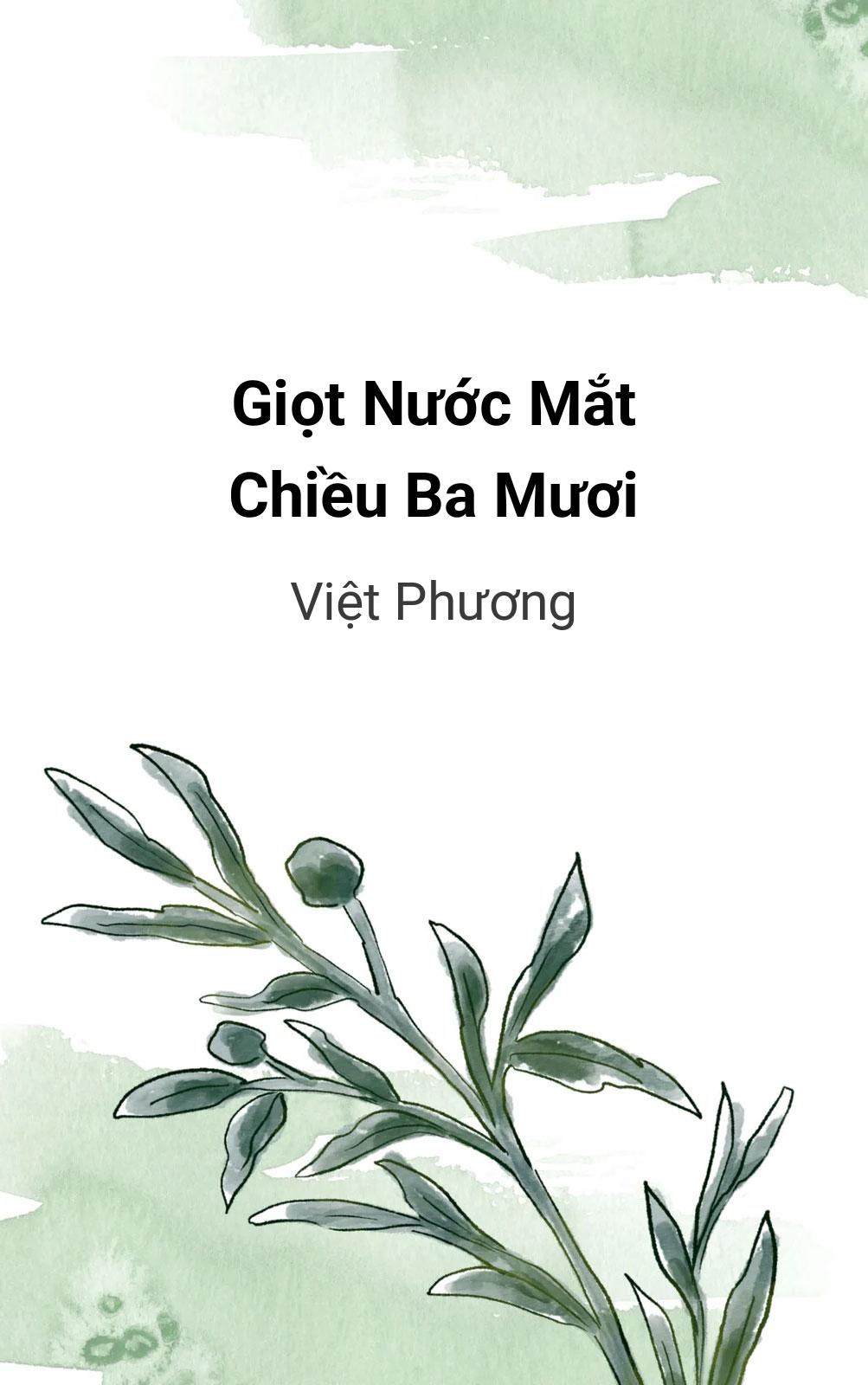 Giọt Nước Mắt Chiều Ba Mươi