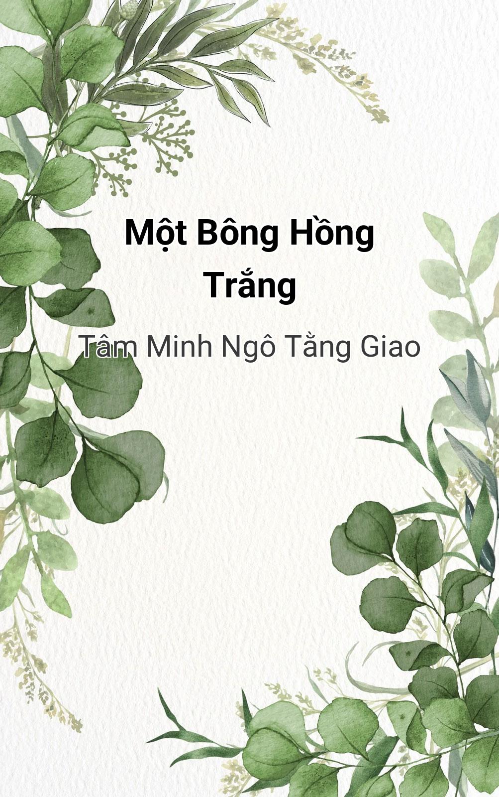 Một Bông Hồng Trắng