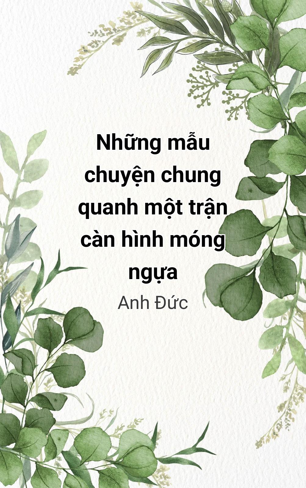 Những Mẫu Chuyện Chung Quanh Một Trận Càn Hình Móng Ngựa