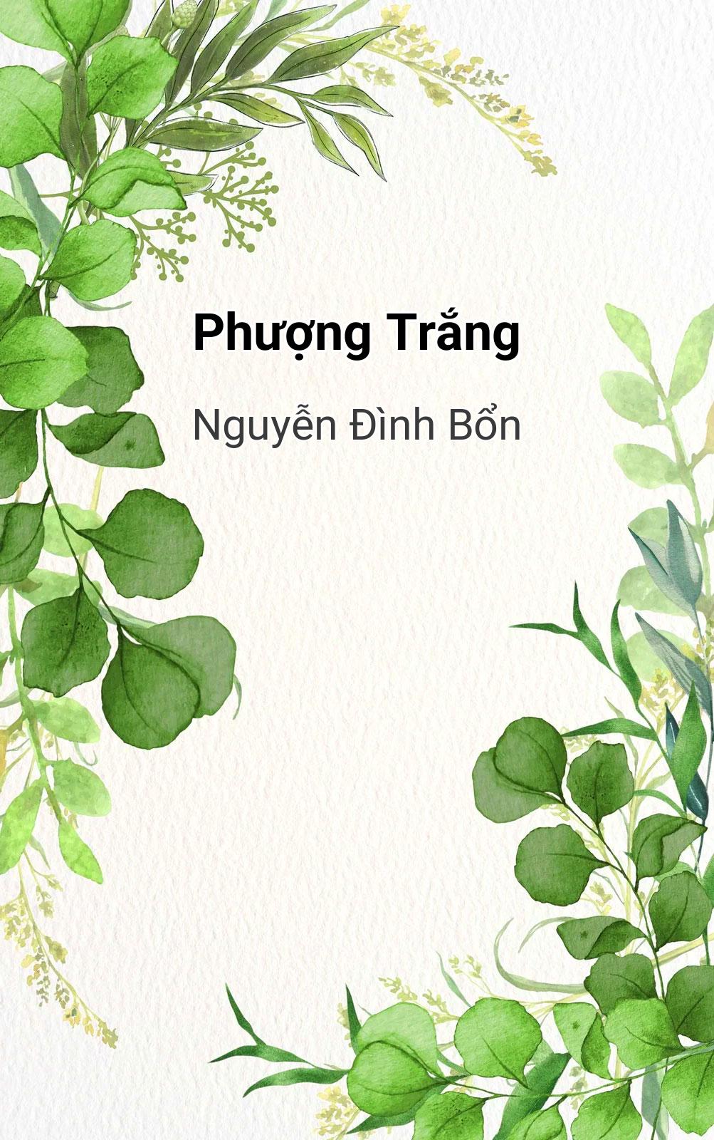Phượng Trắng