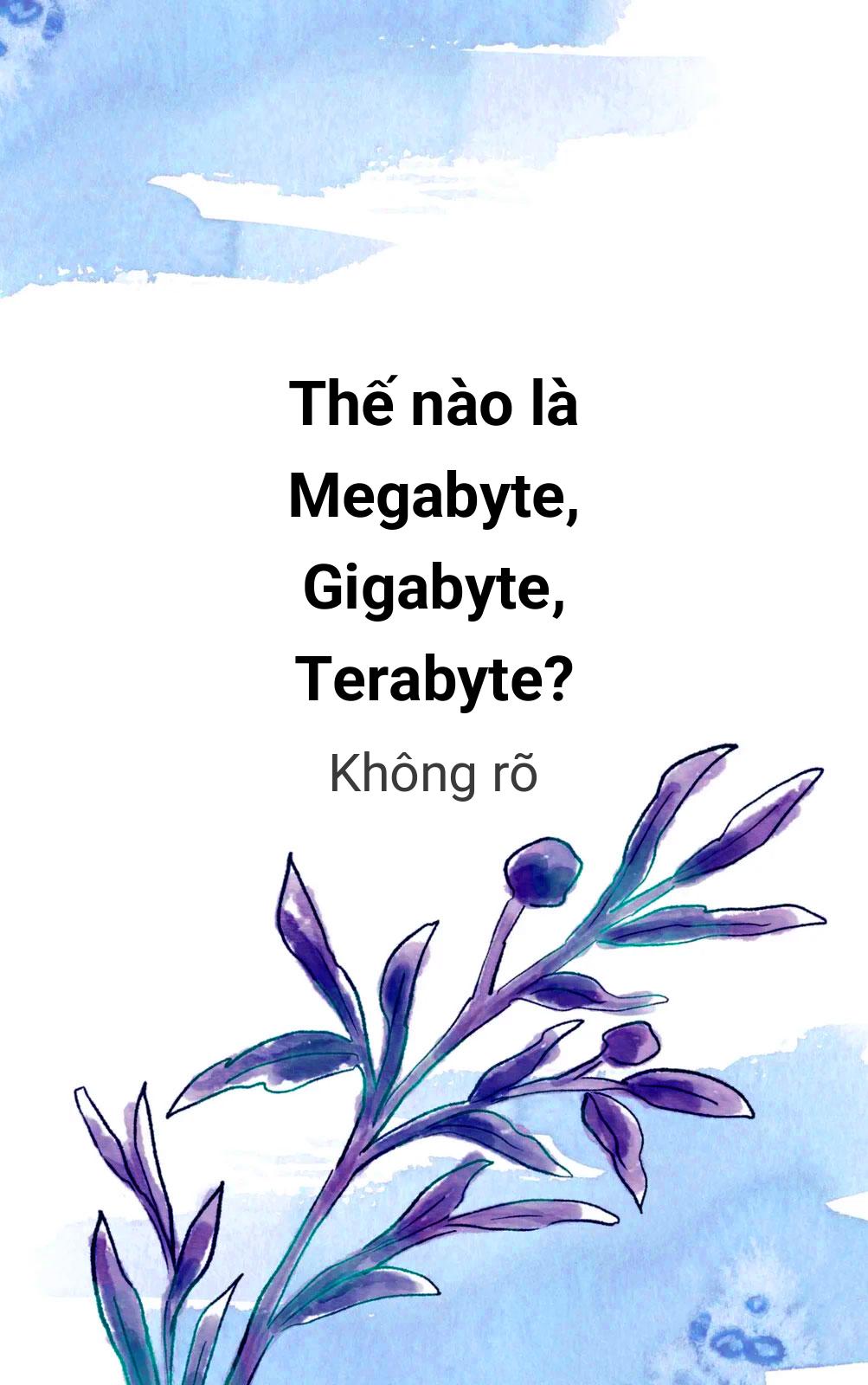 Thế Nào Là Megabyte, Gigabyte, Terabyte?