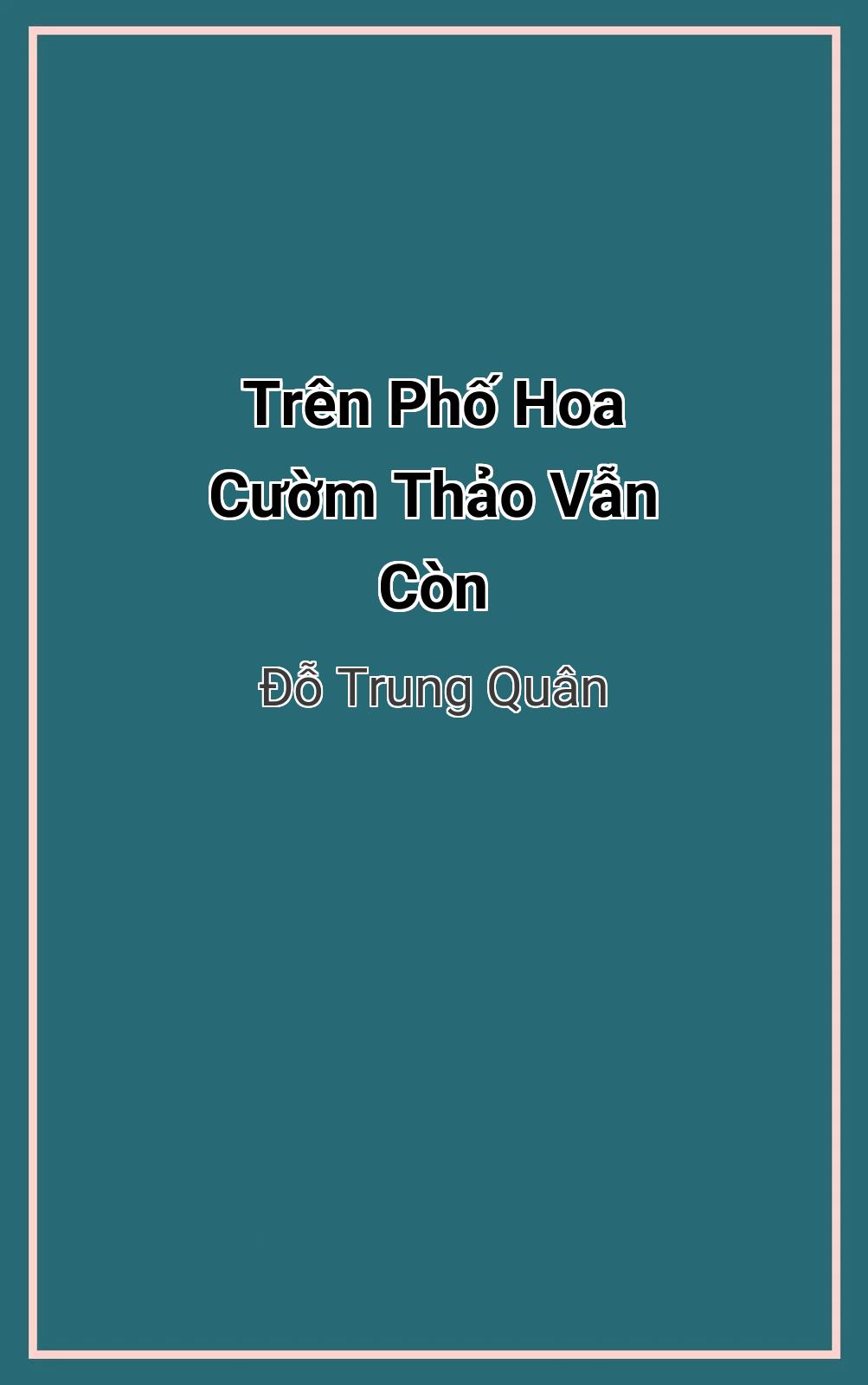 Trên Phố Hoa Cườm Thảo Vẫn Còn