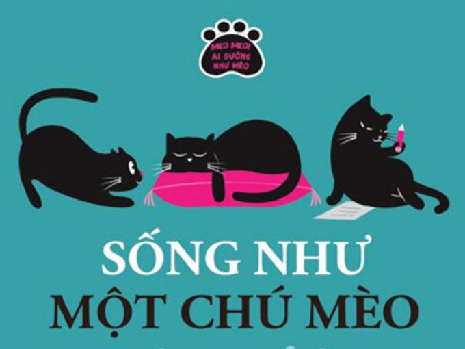 "Sống Như Một Chú Mèo" – Khi Mèo Kể Chuyện Về Hạnh Phúc