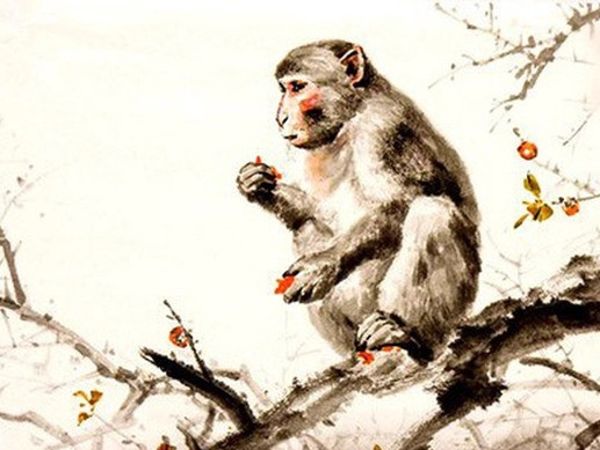 Tử Vi Tuổi Thân 2026: Công Việc Biến Động, Tài Lộc Có Điểm Sáng