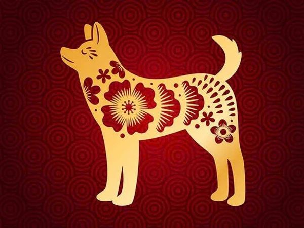 Tử Vi Tuổi Tuất 2026: Thành Công Và May Mắn Trên Mọi Phương Diện